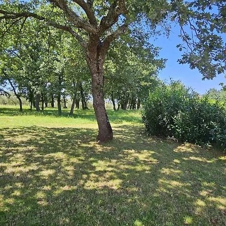 Sofia Adria بوريتش