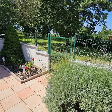 Apartment Sofia Adria Poreč