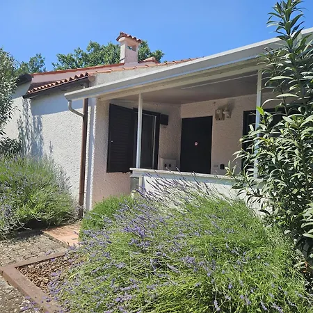 Apartman Sofia Adria *