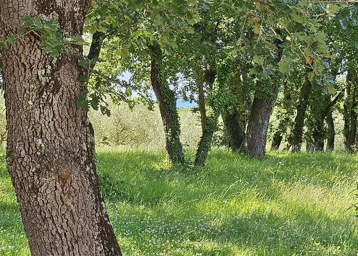 Sofia Adria Apartman Poreč