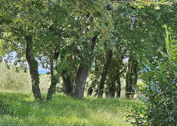 Sofia Adria Apartman Poreč