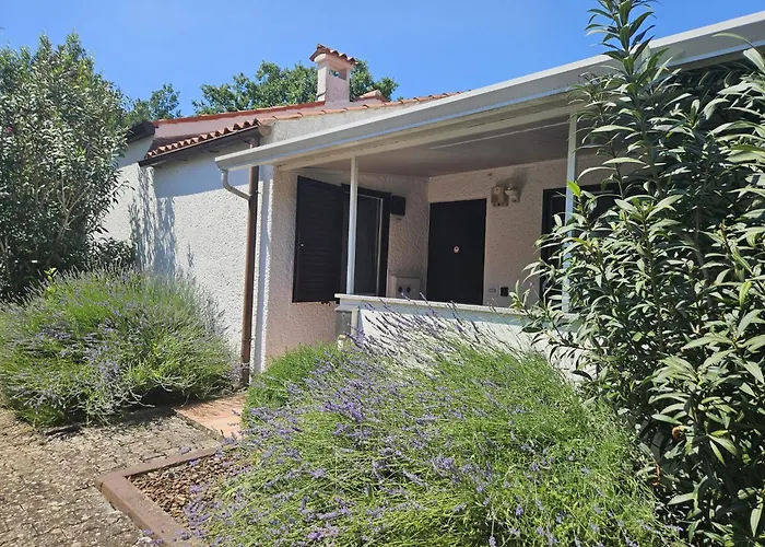 Apartman Sofia Adria *