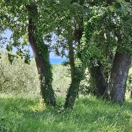 Daire Sofia Adria Poreč