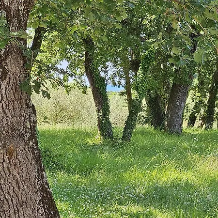 Sofia Adria Daire Poreč
