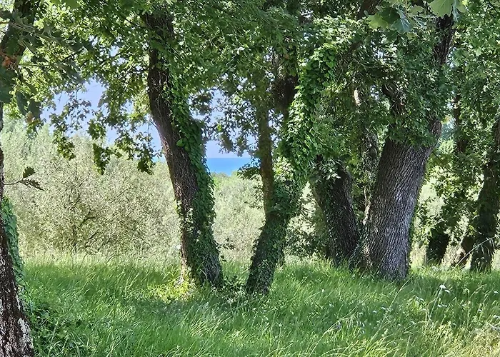 Lejlighed Sofia Adria Poreč